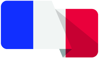Drapeau français - Frenchy Transport. Votre partenaire routier